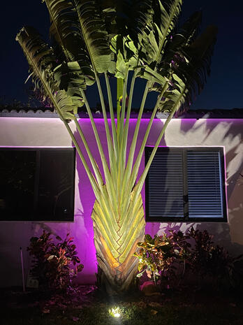 Outdoor lighting