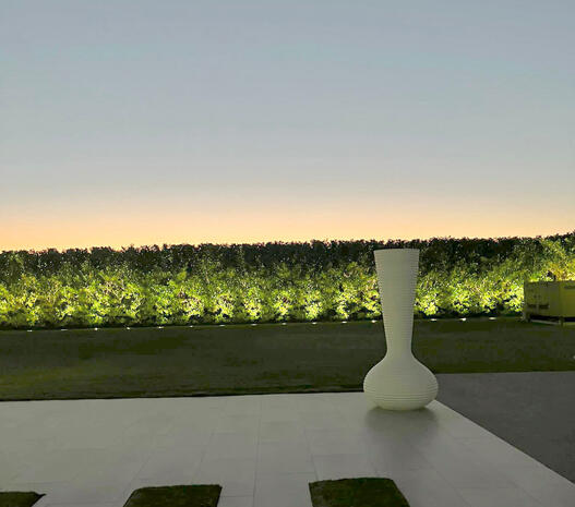 Hedge outdoor lighting